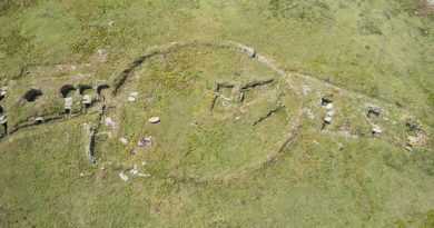 Guénioc enclos gaulois
